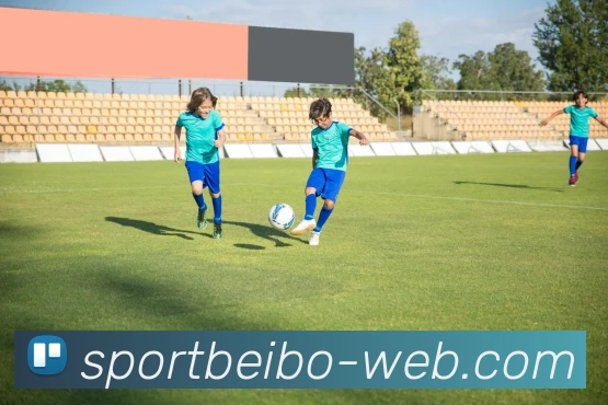 贝博体育APP 封面图